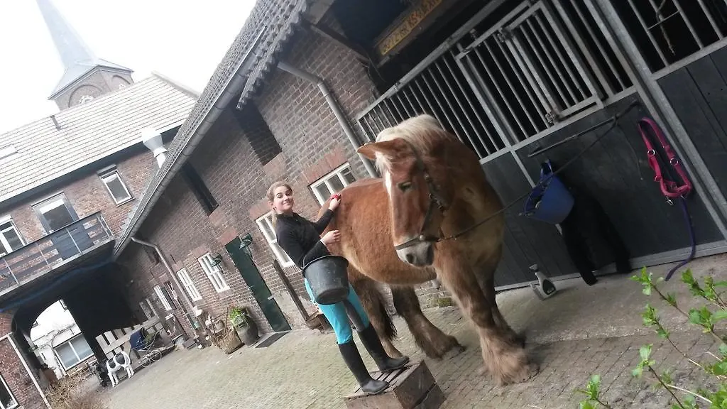 Brigidahoeve Maastricht 0*,  Nederland
